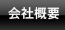 ЊTv